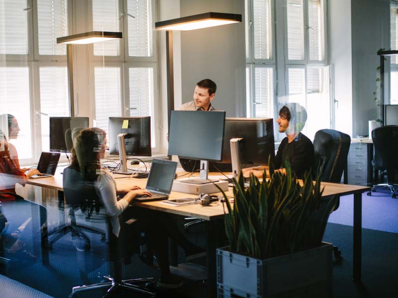 cyber-insurance people in office by computers